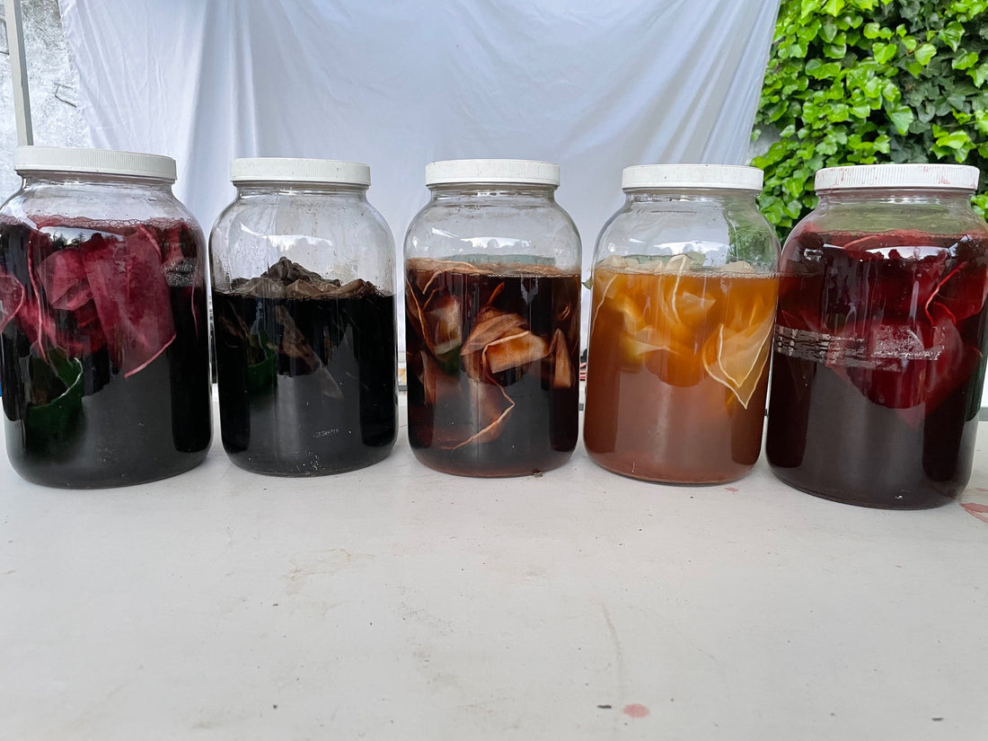 Extracting Pigment from Plants